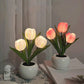 💡 55% DE RÉDUCTION ! 🌷 Lampe de Table LED en Forme de Tulipe – Décoration Réaliste, Lumière Douce & Parfaite pour Chambre / Cadeau ✨