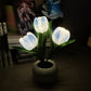 💡 55% DE RÉDUCTION ! 🌷 Lampe de Table LED en Forme de Tulipe – Décoration Réaliste, Lumière Douce & Parfaite pour Chambre / Cadeau ✨