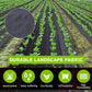 💐50% DE RÉDUCTION ! Toile anti-mauvaises herbes biodégradable – Innovation 2026 pour potager et jardin 🪴🌟【Offre Limitée】