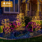 💐60% DE RÉDUCTION ! Lumières Décoratives de Jardin – Faciles à Installer 🌼🪴【Offre Limitée】