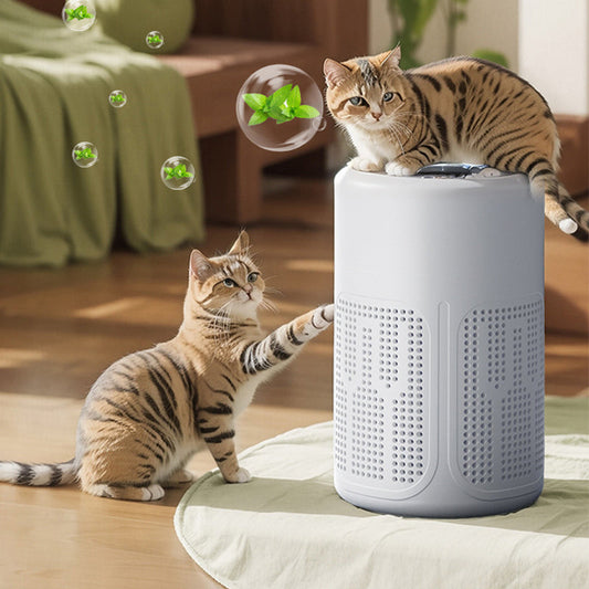 🌀 Purificateur d'air pour la maison 🌿 Filtre et comprimés d'aromathérapie inclus