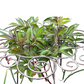 Cadre de support pour fleurs lourd