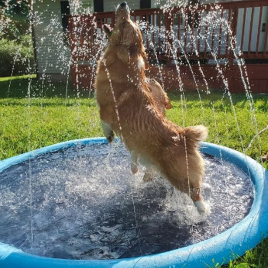 ⏳Spécial à durée limitée⏰Tapis pliable pour piscines extérieures et arrosoir 🏖️
